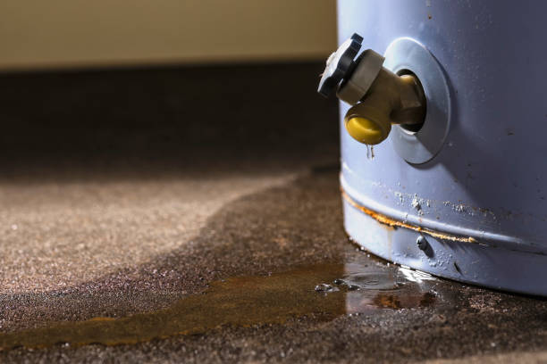 Best 24/7 water damage repair  in Belleville, WI