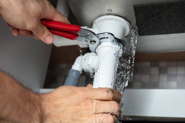 Best Water damage cleanup near me  in Belleville, WI