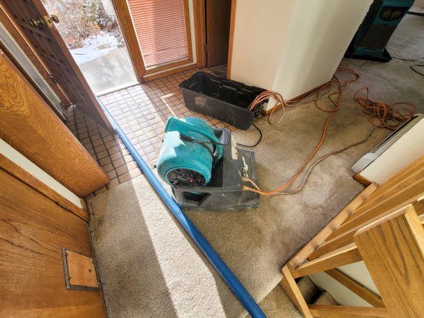 Best Water damage restoration near me  in Belleville, WI
