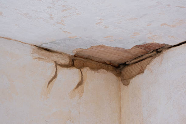 Reliable Belleville, WI Water damage restoration Solutions