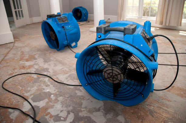 Best Emergency water extraction  in Belleville, WI