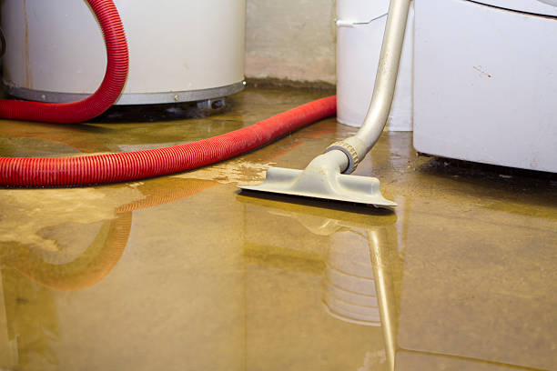 Best Carpet water damage restoration  in Belleville, WI