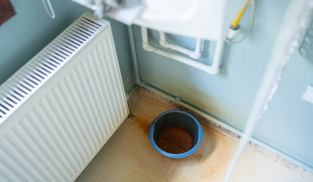 Best Professional water damage repair  in Belleville, WI