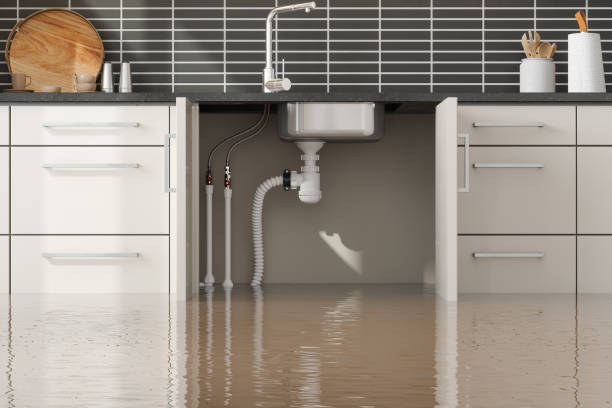 Best Local water damage restoration  in Belleville, WI